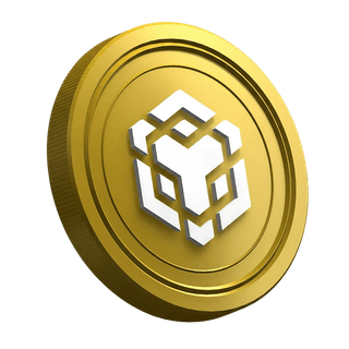Página de guía para traders principiantes con la criptomoneda Binance BNB